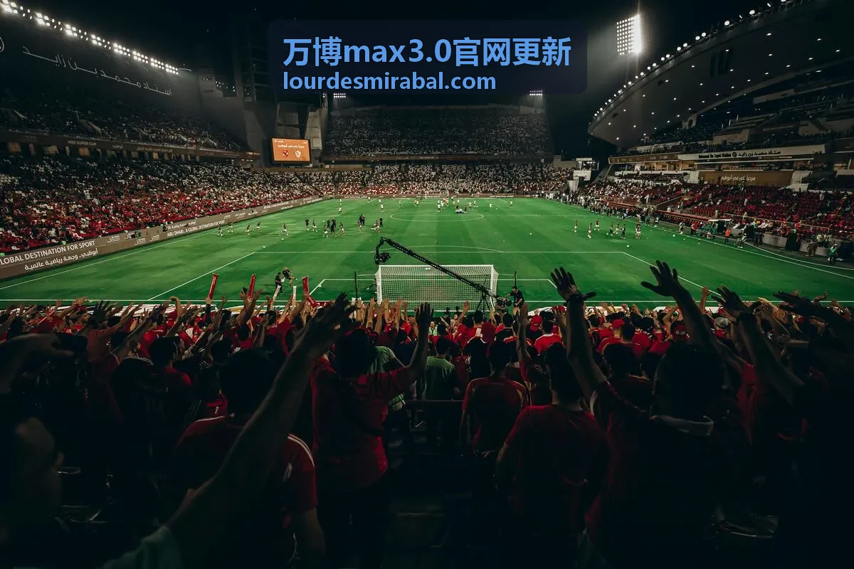 万博max3.0官网更新版本条目录入页面